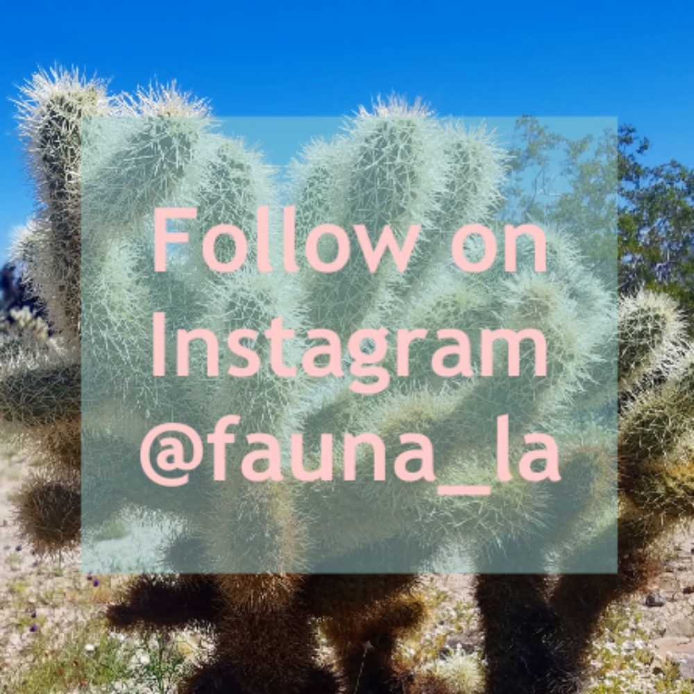 Follow me on Instagram!
